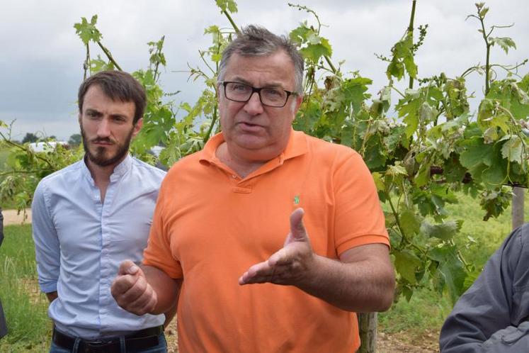 Le président de l’UGVC souhaite une augmentation des surfaces de vigne.