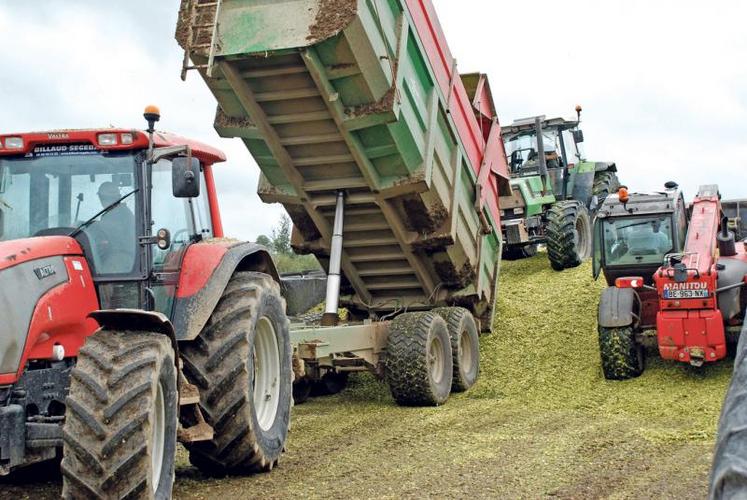 Cette année, au Gaec du Chêne vert, les travaux d’ensilage ont été tronçonnés en trois périodes contre deux l’année dernière.