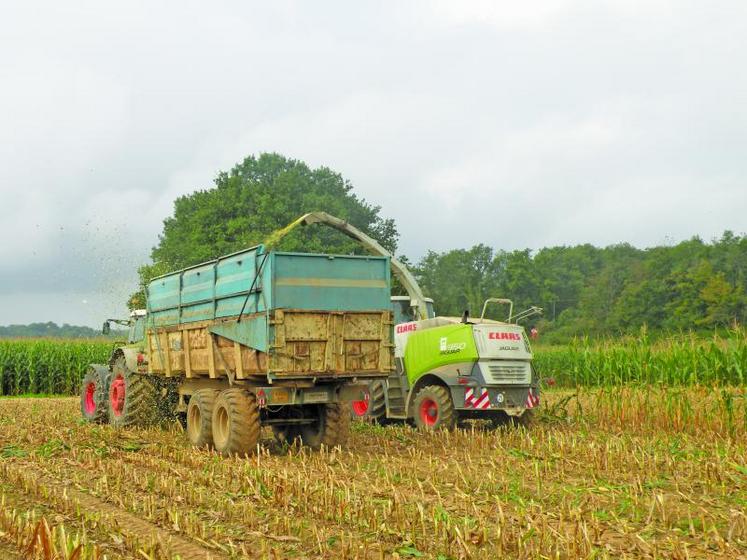 Dans quelques semaines débutera la pleine période des chantiers agricoles. Il est parfois bon de faire quelques rappels : « Selon nos statistiques, les accidents arrivent souvent dans les quelques jours qui suivent une embauche. Q