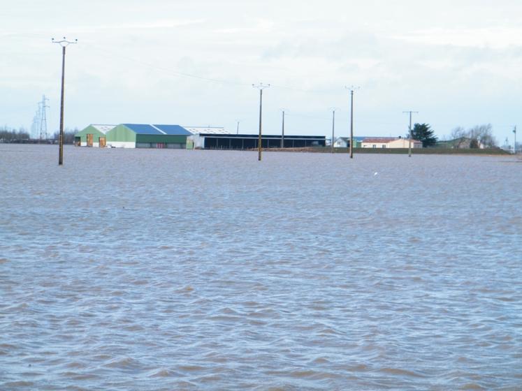 Ferme située à 7 km de la baie de l’Aiguillon.