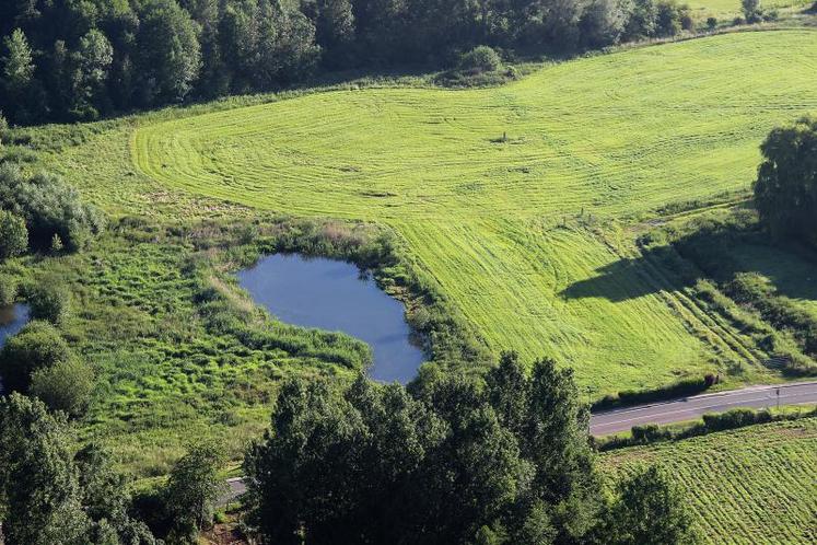 Les types de SIE le plus souvent déclarés sont celles dites productives comme les plantes fixant l’azote, les cultures dérobées et les jachères.