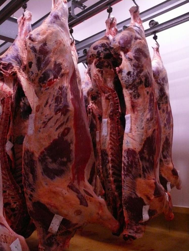 Tous les abattoirs de plus de 5 000 tonnes devront être équipés de machine à classer avant le 30 juin 2012.