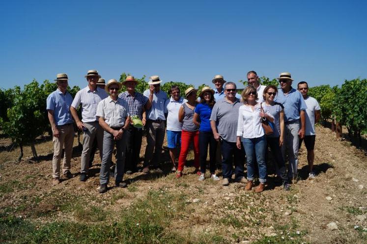 Le groupe dans les vignes.