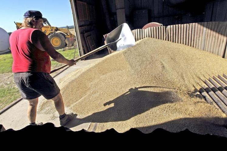 L’appel de cotisations aura lieu en fin de campagne, c'est-à-dire au mois de juin prochain, sur les céréales collectées au cours des douze mois précédents.