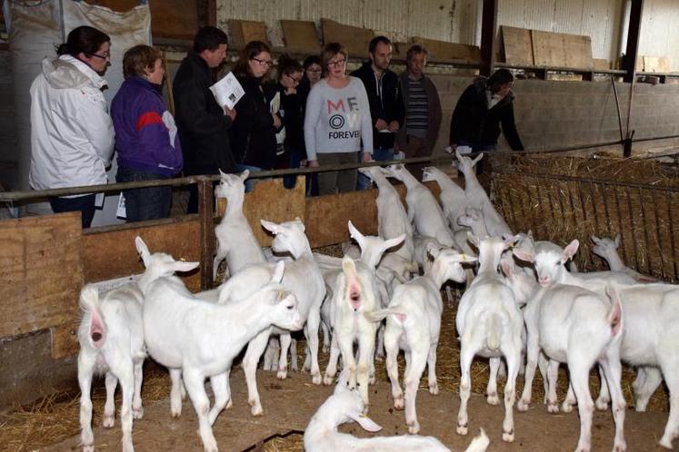 Nathalie Maudet a augmenté la part des matières premières dans la ration, ce qui lui a permis de mieux maîtriser ses charges.