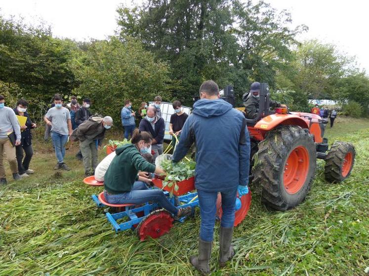 La plantation des jeunes pousses, après le passage du rouleau faca, sous les yeux des participants - dont de nombreux élèves du lycée.