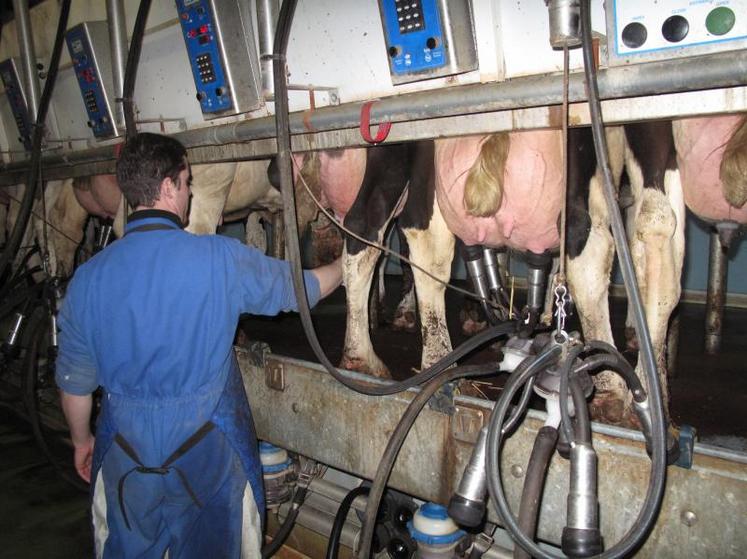 «Il faut rendre le pilotage de l’atelier lait plus lisible», insiste François Brescia, responsable Pôle lait de vache Bassin sud Eurial.