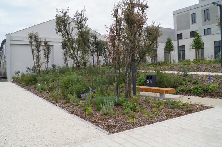 Un jardin à la dominante de bleu, couleur emblématique de la marque au martinet.