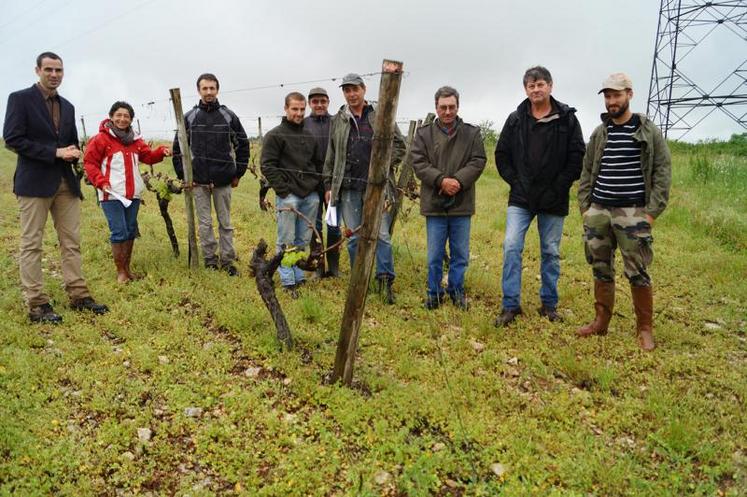 Les huit viticulteurs de Hiersac, encadrés par Jean-Christophe Gérardin (à gauche).