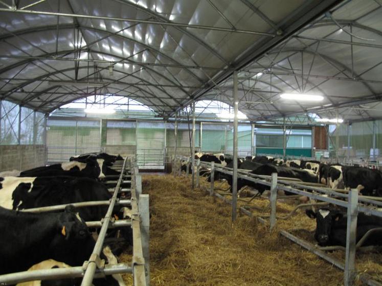 En France, le nombre d’exploitations laitières a diminué de 
5,4 % par an entre 2005 et 2010.