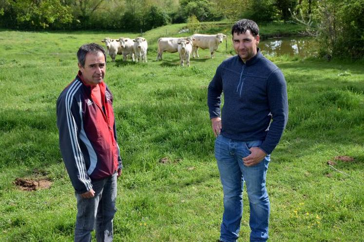 Michel Joubert et Antoine Péridy, naisseurs-engraisseurs de Charolaises à Voulmentin, cherchent à produire un maximum de kilos de viande avec la production fourragère de l’exploitation.