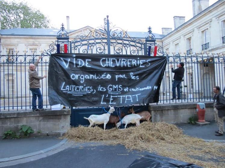 Les éleveurs de chèvres accusent les laiteries et les GMS d’organiser un « vide-chèvreries », comme d’autres organisent des vide-greniers pour faire place nette.
