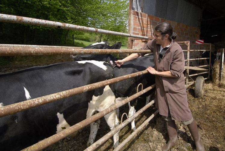 Vaccination contre la FCO.