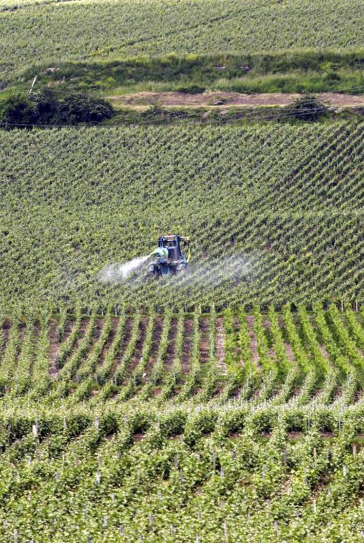 Les mesures prises ne sont pas suffisantes pour obtenir les 50 % de réduction de pesticides promis d’ici 2018.