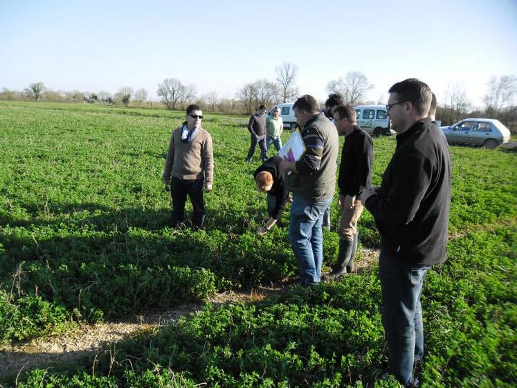 La réunion a permis aux agriculteurs producteurs et non producteurs d’échanger sur la conduite de la culture de la luzerne, sur son itinéraire technique et notamment sur les modalités de semis possibles.