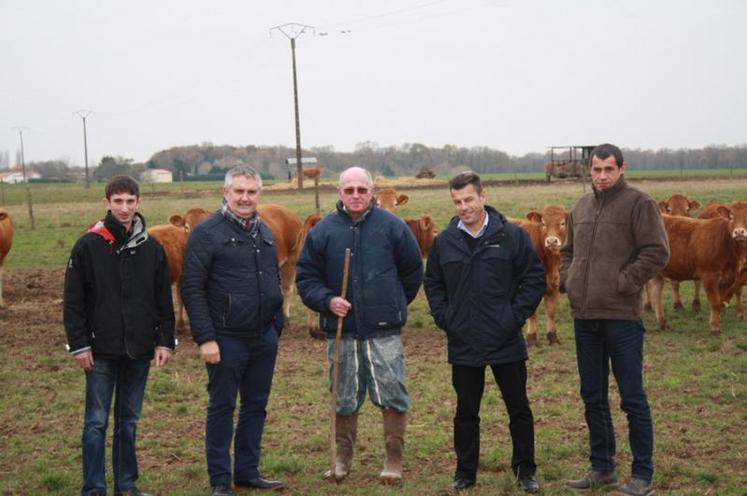 Julien Rouger, Pascal Berteau, Janyck Gachet, Bruno Caillaud, Wilfried Boisson pour une première visite sur l’exploitation, à Ste Gemme.