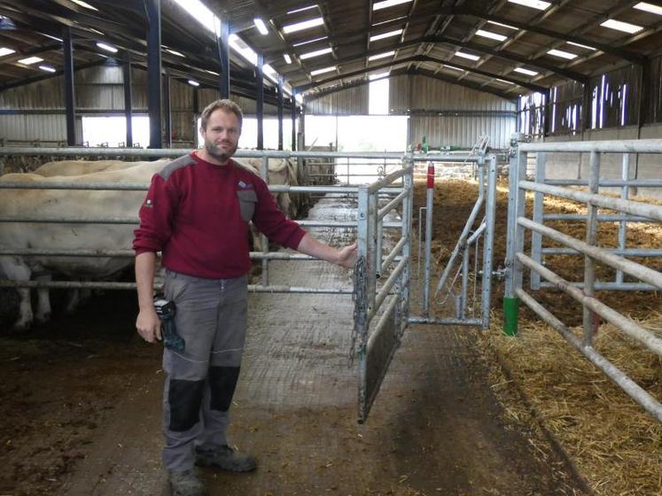Antony Tranquard a aménagé ce cornadis spécial et cette barrière pour faciliter l’insémination et les césariennes sur les vaches.