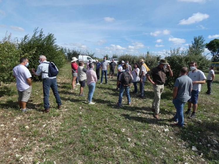 À l’issue de la réunion organisée à Landrais, les participants ont pu échanger à l’occasion de la visite d’une truffière sur une aire de captage de l’Aunis.