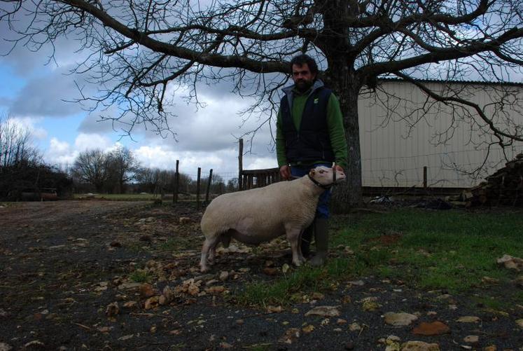 Jean-Yves Longeau présentera ses animaux au Salon international de l’agriculture.