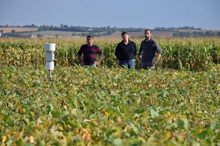 Thierry Passebon, propriétaire des parcelles, Myriam Blanchard adhérente de l’Adiv et Guillaume Chamouleau président d’Aquanide au cœur de la plateforme d’essais à visiter jeudi 14 septembre.