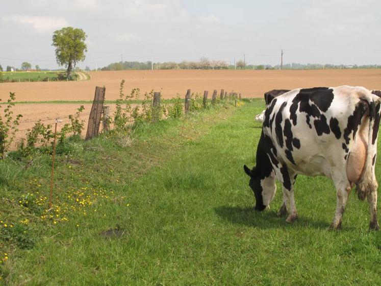 Coopératives et négoce travaillent avec les banques à la mise en œuvre de solutions pour les agriculteurs qui rencontrent des difficultés au cours de cette année 2016 qui cumule le pire des marchés et de la météo.