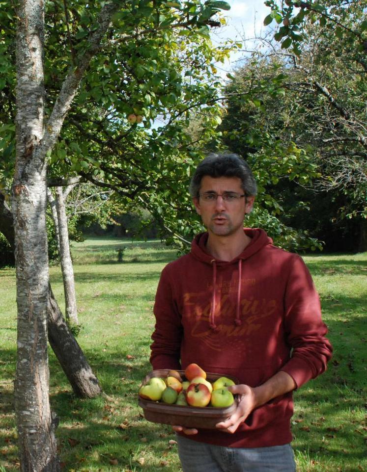 Pommes « cinq douelles », poires verdières, poirillons « bouteille »... Des variétés anciennes à préserver selon Samuel Fichet.