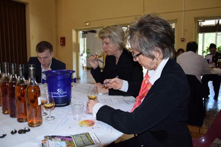 Dégustation des eaux-de-vie VSOP pour le jury le 25 avril à la salle des Distilleries de Segonzac.