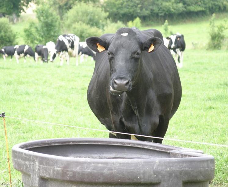 Il existe des techniques alternatives à l’abreuvement direct aux rivières.