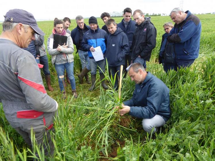 Philippe Doublet, conseiller en alimentation à PâtureSens, a remarqué lors de la journée méteil que plus il y a d’espèces qui composent le méteil, plus la terre est meuble.