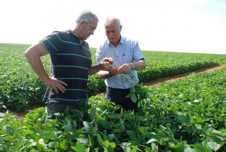 Médéric Brunet (à droite), ici en 2014, a lancé en partenariat avec Océalia une filière soja de pays, une culture trop peu implantée localement. Dans ce cadre, le projet de 19 réserves de substitution est pour lui « une bouffée d’oxygène ».