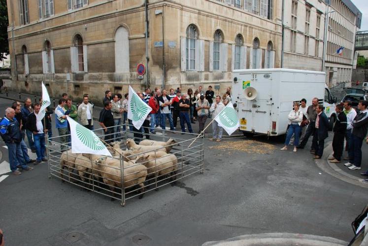 Les éleveurs d’ovins ne baissent pas les bras. Ils défendront leur profession.