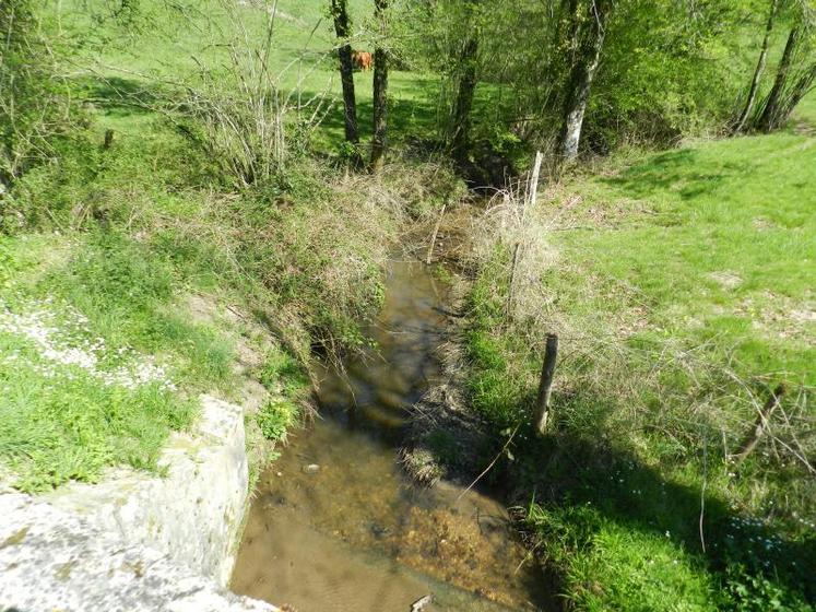 Le manque d'eau inquiète les agriculteurs.