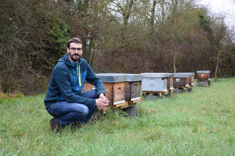 Guillaume Arjauré produit 3 tonnes de miel par an. Il espère cette année pouvoir produire un peu de pollen frais, « dont la demande est très forte ».