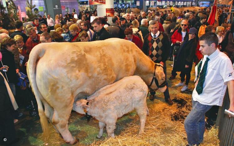 Mars : les Deux-Sèvres au Salon international de l'agriculture.