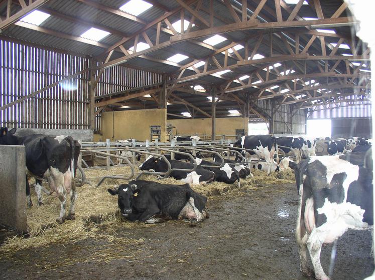 La diminution a été particulièrement forte pour les élevages laitiers.