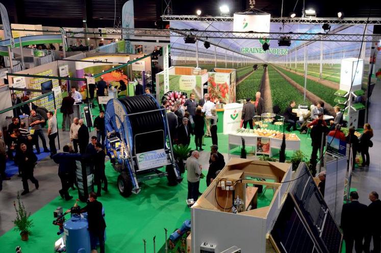 Le Sival en chiffres : plus de 600 exposants dont 10% d'étrangers, 1500 marques, 30 000 m² de surface continue, plus de 20 000 visiteurs drainés à 50% vers les fruits et légumes et à 30% vers la viticulture.