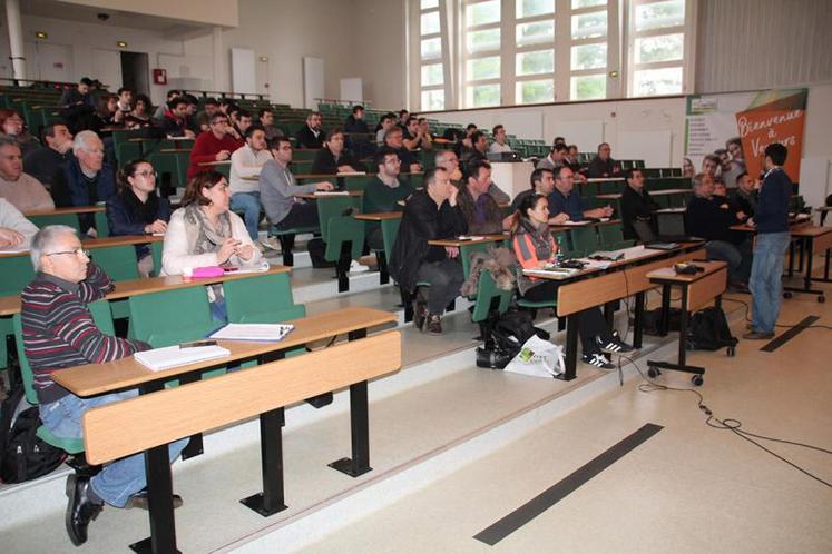 Les départements de l’ex-Poitou-Charentes compte 80 observateurs pour le BSV Grandes cultures.