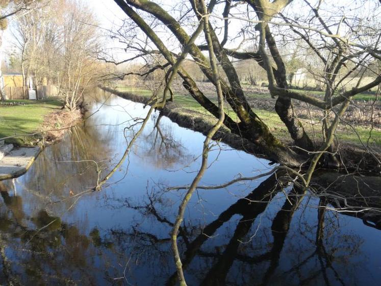 «La biodiversité et son maintien restent en filigrane de la rédaction du Sage Seudre» souligne Jean-Philippe David «mais c'est avant tout la préservation du système écosystémique.»