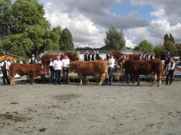 Lezay et Poitiers sont les villes candidates pour le concours national limousin qui aura lieu en Poitou-Charentes en 2016.