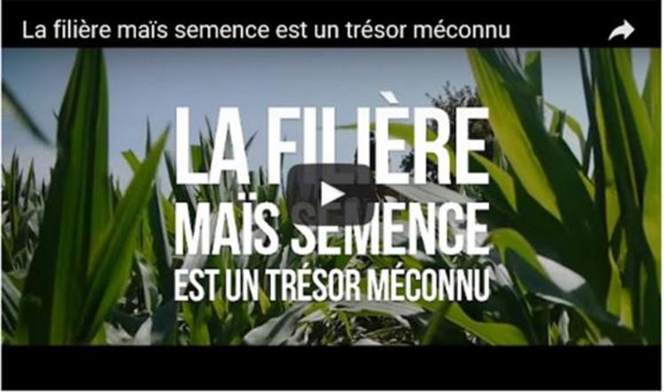 L'une des six vidéos de la campagne