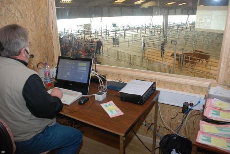 Deux cents bêtes ont été mises en vente pour la première du marché au cadran. Une quinzaine d’acheteurs étaient présents.
