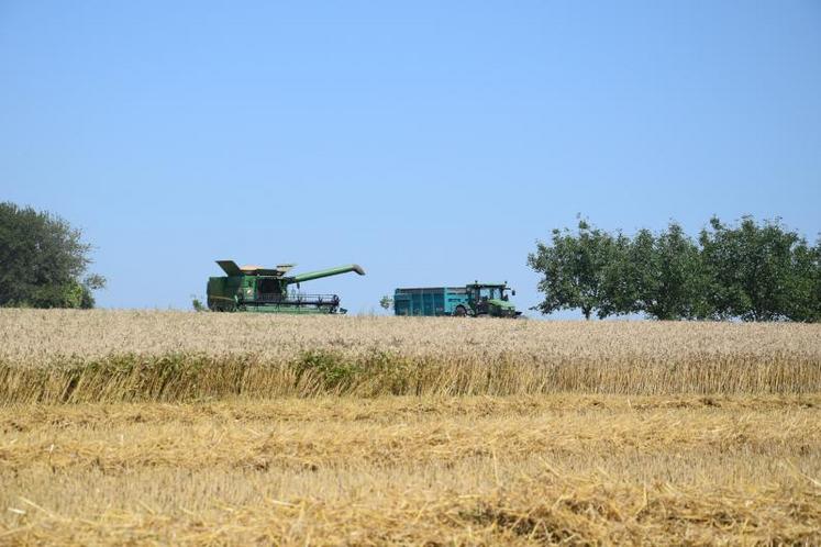 Les moissons ont commencé plus tard que les années habituelles.