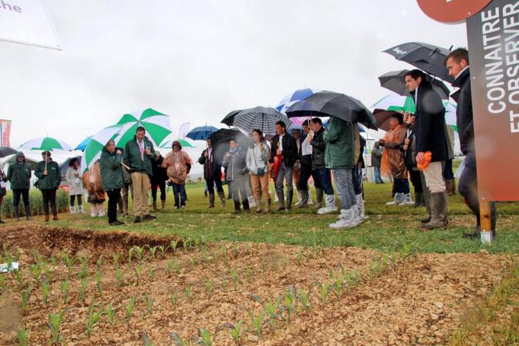 Malgré la pluie, 15 000 visiteurs se sont rendus aux culturales.