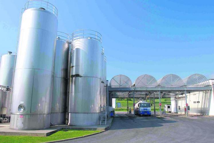 Le prix du lait payé aux prodcuteurs est sacrifié au profit de la trésorerie des laiteries.