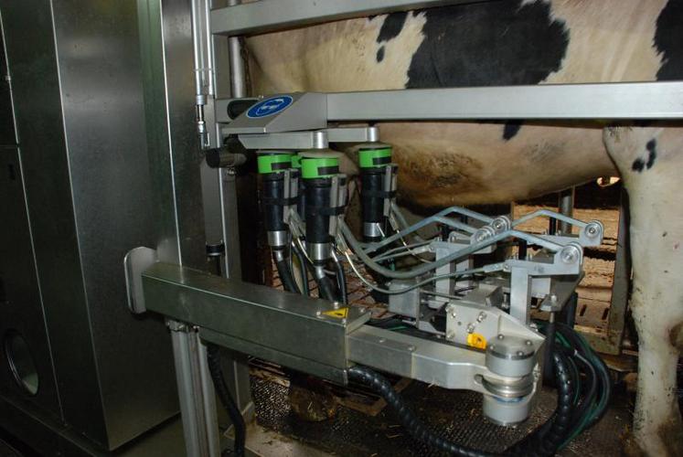 Les essais conduits à la ferme expérimentale de Derval ont démontré que l’installation d’un robot de traite ne se traduit pas par une augmentation de la production par vache.