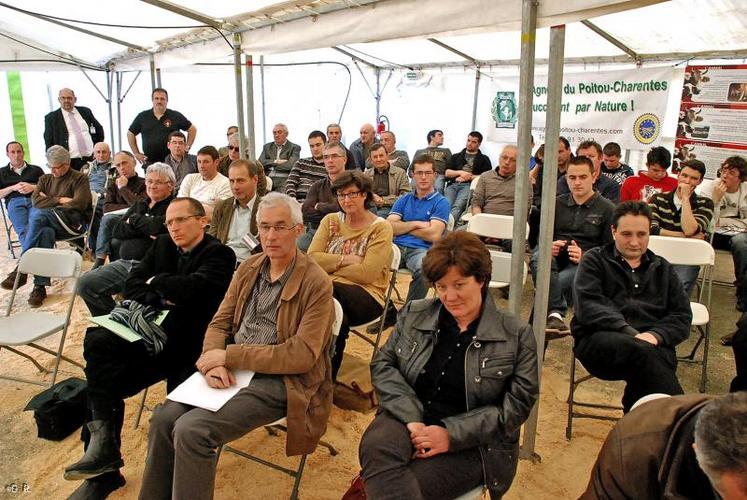 La filière doit faire face à une baisse tendancielle du cheptel de souche.