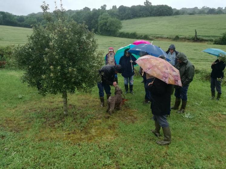 Les participants de la réunion organisée par le CRPF Poitou-Charentes ont visité une truffière en fin de matinée.