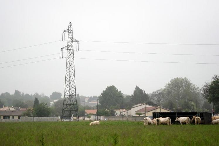 Deux réunions d'informations vont avoir lieu le 1er juin.