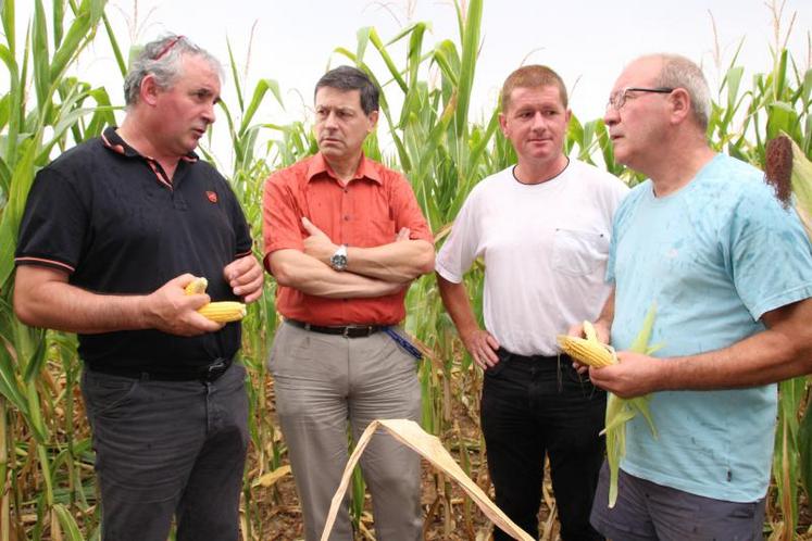 Dominique Marchand, chambre d'agriculture Jean-Jacques Pailhas, DDT, Denis Bergeron, Fnsea et Olivier Malécot, agriculteur, ont constaté les dégâts dans un champ de maîs