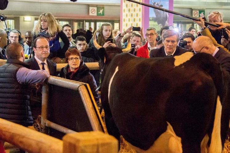 Le volet bancaire du pacte de consolidation et de refinancement des exploitations agricoles est prolongé de trois mois. La prise en charge du coût de la garantie des prêts par l’État et la possibilité d’une année blanche ont quant à elles été renouvelées jusqu’au 30 juin.